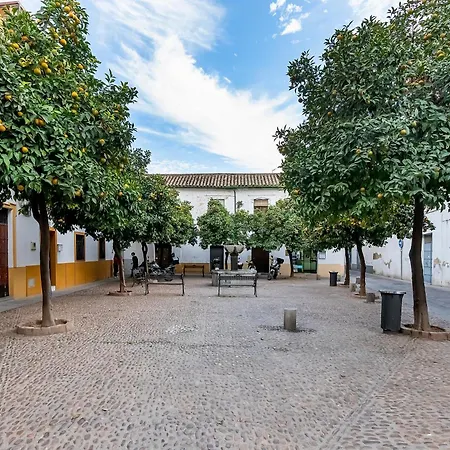 Appartement Bhost - Yayo Pepe