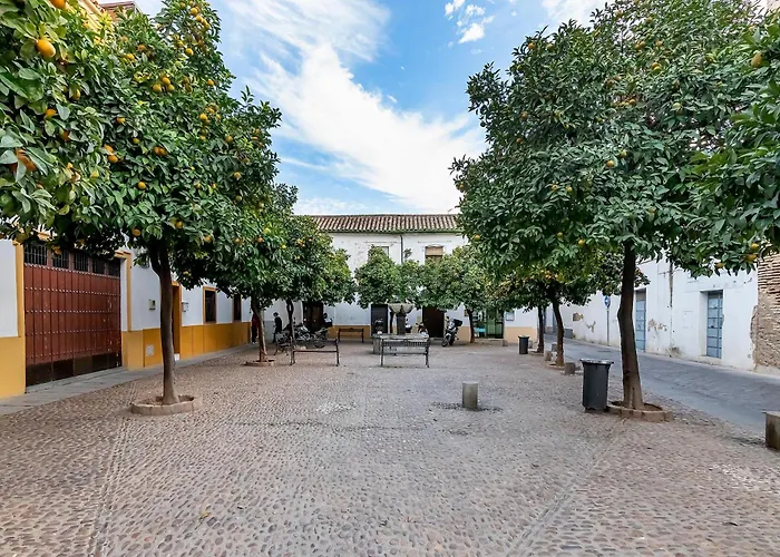 Appartement Bhost - Yayo Pepe